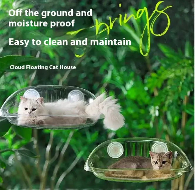 Glass Cat Hammock by PAWCLO