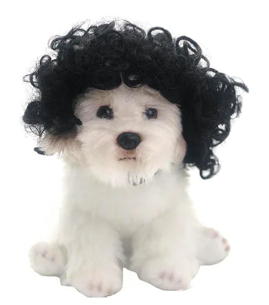 Wig for Dogie by PAWCLO