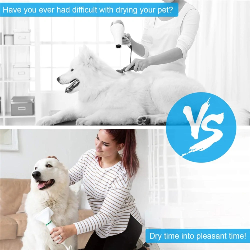 2 In 1 Hair Dryer by PAWCLO