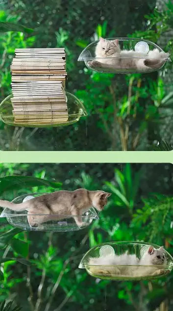 Glass Cat Hammock by PAWCLO