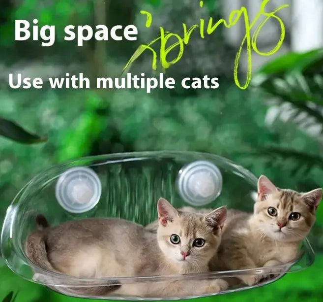 Glass Cat Hammock by PAWCLO